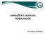 VIBRAÇÕES E SAÚDE DO TRABALHADOR. Prof. João M. Bernardes