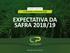 EXPECTATIVA DA SAFRA 2018/19