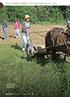 Vegetação de cobertura cumpre várias funções ecológicas para a manutenção da saúde dos solos. Agriculturas v n.