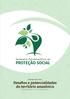 RESUMO EXECUTIVO. Desafios e potencialidades do território amazônico BELÉM, PARÁ, BRASIL 27 A 31 DE MARÇO DE 2017