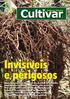 Vilões subterrâneos. Muitas espécies de nematoides