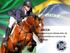 ABCCH ASSOCIAÇÃO BRASILEIRA DE CRIADORES DO CAVALO DE HIPISMO