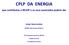 CPLP DA ENERGIA. que contributos a RELOP e os seus associados podem dar. Jorge Vasconcelos. NEWES, New Energy Solutions