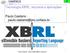 Tecnologia XBRL: recursos e aplicações. Paulo Caetano - Paulo Caetano -