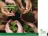 Um caminho de muitas mãos Revisão do Modelo de Programação de Operações Florestais Silvicultura até Dez/2014