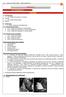 BIOLOGIA. Prof. Fred Guilherme CORDADOS. 1) Invertebrados. 1.A) Subfilo Urocordata ou tunicados. Ex: Ascidia. 1.B) Subfilo Cefalocordata. Ex. Anfioxo.