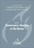 C u r s o. Inspeção de sistemas de medição de Gás natural. Módulo 1 Cromatografia e Qualidade. do gás Natural