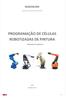 PROGRAMAÇÃO DE CÉLULAS ROBOTIZADAS DE PINTURA