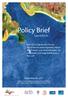 Policy Brief. Especial RIO+20