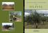 MANUAL DA SAFRA E CONTRA SAFRA O L I VA L MANUAL DA SAFRA E CONTRA SAFRA DO OLIVAL. Editores Técnicos Manuel Ângelo Rodrigues Carlos Manuel Correia