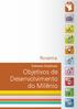 Roraima. Sínteses Estaduais Objetivos de Desenvolvimento do Milênio