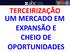 TERCEIRIZAÇÃO UM MERCADO EM EXPANSÃO E CHEIO DE OPORTUNIDADES