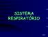 SISTEMA RESPIRATÓRIO. Raduan