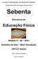 Cursos Profissionais de Nível Secundário. Sebenta. Disciplina de. Educação Física. Módulo 4 A2 GIN I Ginástica de Solo Nível Introdução 10º/11º Ano(s)