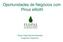Oportunidades de Negócios com Pinus elliottii