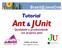 Ant JUnit Qualidade e produtividade em projetos Java