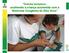 Creche Inclusiva : acolhendo a criança acometida com a Síndrome Congênita do Zika Vírus