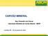 CARVÃO MINERAL. Eng. Fernando Luiz Zancan Associação Brasileira do Carvão Mineral - ABCM. Curitiba/PR - 29 de janeiro de 2016