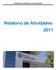 FUNDAÇÃO MANUEL CARGALEIRO. Relatório de Atividades 2011