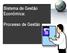 Sistema de Gestão Econômica: Processo de Gestão