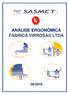 ANÁLISE ERGONÔMICA FÁBRICA VIRROSAS LTDA