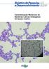 Caracterização Molecular de Bactérias Láticas Endógenas de Queijo Coalho
