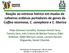 Reação ao estresse hídrico em mudas de cafeeiros arábicos portadores de genes de Coffea racemosa, C. canephora e C. liberica