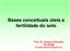 Bases conceituais úteis a fertilidade do solo. Prof. Dr. Gustavo Brunetto DS-UFSM