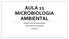 AULA 11 MICROBIOLOGIA AMBIENTAL Disciplina: Microbiologia Profa. Nelma R. S. Bossolan 27/10/2017