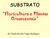 SUBSTRATO. Floricultura e Plantas Ornamentais. Dr. Paulo Hercílio Viegas Rodrigues