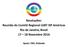 Resoluções: Reunião do Comitê Regional LGBT ISP Américas Rio de Janeiro, Brasil Novembro Apoio: FNV, Holanda
