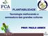 PLANTABILIDADE. Tecnologia melhorando a semeadura das grandes culturas PROF. PAULO ARBEX