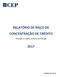 RELATÓRIO DE RISCO DE CONCENTRAÇÃO DE CRÉDITO