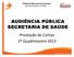 AUDIÊNCIA PÚBLICA. Prestação de Contas 1º Quadrimestre 2013