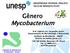 Ordem Actinomycetales Família Mycobacteriaceae. Genero Mycobacterium. Aproximadamente 172 espécies e 13 sub-espécies no gênero Mycobacterium