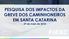 PESQUISA DOS IMPACTOS DA GREVE DOS CAMINHONEIROS EM SANTA CATARINA 29 de maio de 2018