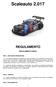 Scaleauto REGULAMENTO REGULAMENTO GERAL