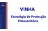 VINHA. Estratégia de Protecção Fitossanitária