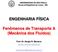 ENGENHARIA FÍSICA. Fenômenos de Transporte A (Mecânica dos Fluidos)