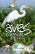 Aves Costeiras de Icapui