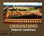 URBANISMO. Antonio Castelnou