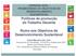 Políticas de promoção do Trabalho Decente. Rumo aos Objetivos de Desenvolvimento Sustentável
