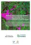 Produto 1. Rotina e tutorial do algoritmo semi-automático de mapeamento de áreas queimadas na região do Jalapão