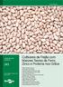 Cultivares de Feijão com Maiores Teores de Ferro, Zinco e Proteína nos Grãos COMUNICADO TÉCNICO