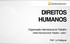 DIREITOS HUMANOS. Organização Internacional do Trabalho. Direito Internacional do Trabalho parte 1. Profª. Liz Rodrigues