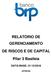 RELATÓRIO DE GERENCIAMENTO DE RISCOS E DE CAPITAL. Pilar 3 Basileia