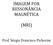 IMAGEM POR RESSONÂNCIA MAGNÉTICA (MRI) Prof. Sérgio Francisco Pichorim