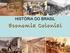 HISTÓRIA DO BRASIL. Economia Colonial