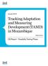 Tracking Adaptation and Measuring Development (TAMD) in Mozambique