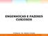 ENGENHOCAS E FAZERES CURIOSOS. Professora: Me. Fabiana Chinalia